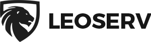 Leoserv Inc | Web Design & Digital Marketing Agency