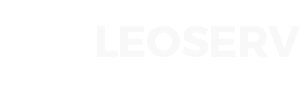 Leoserv Inc | Web Design & Digital Marketing Agency
